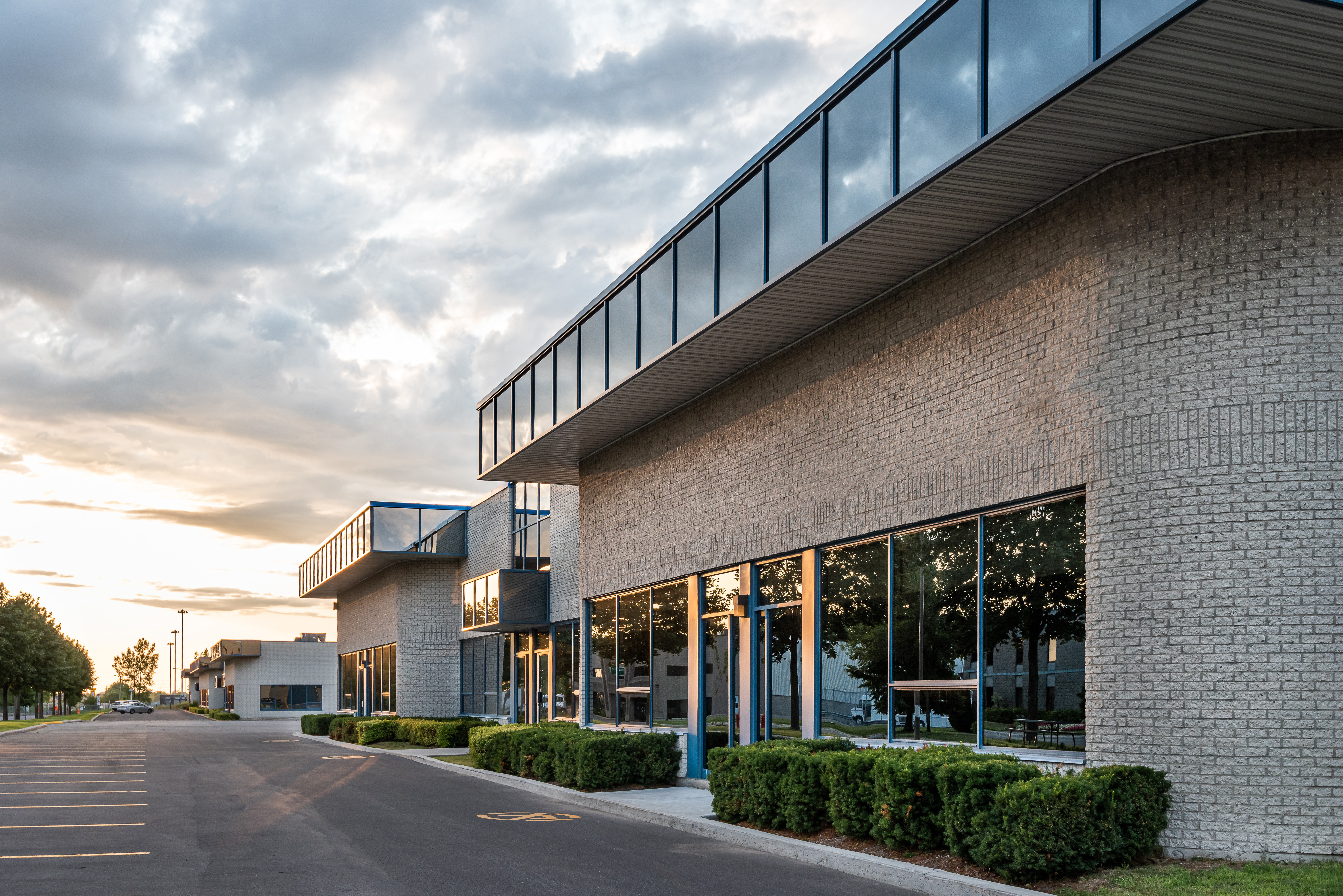 Commercial Window Film — Tint Crew